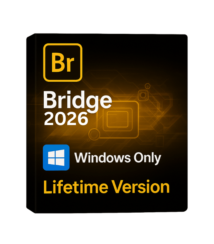 2026 3 1